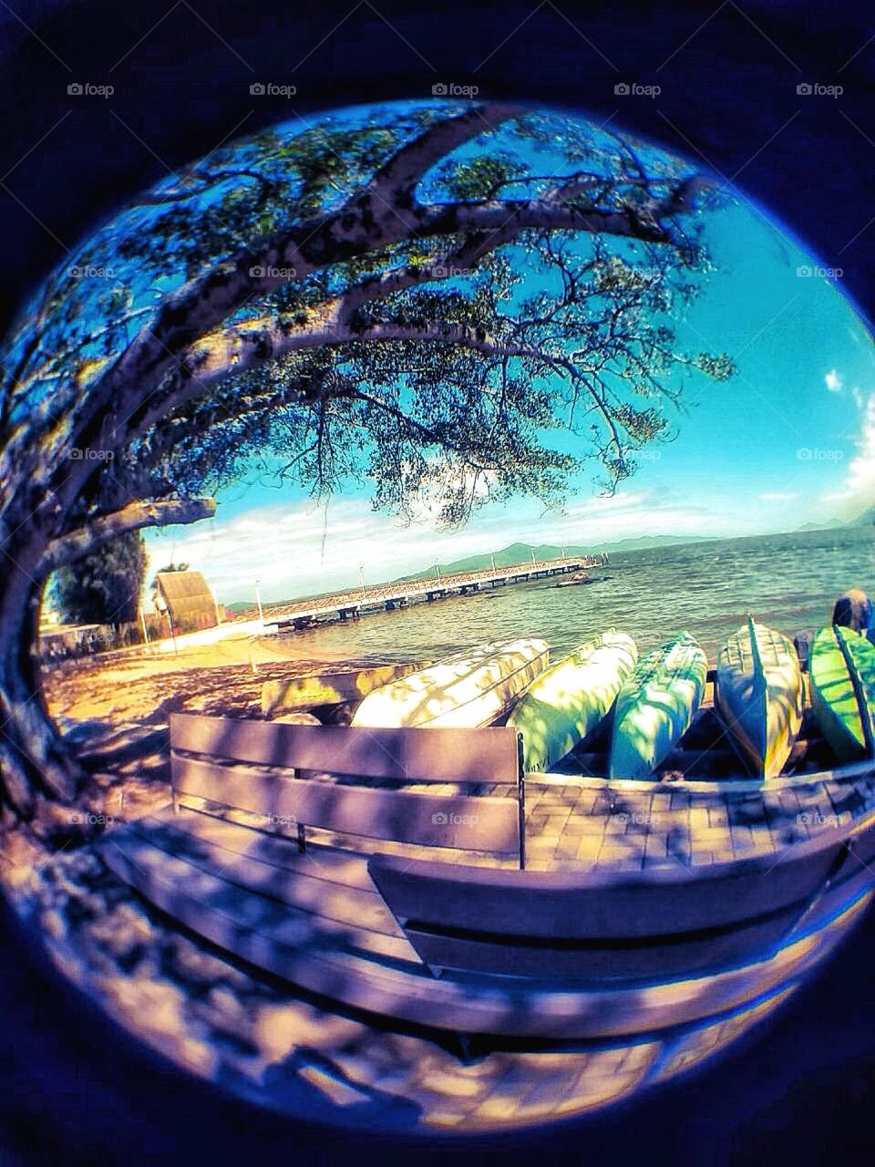 Fish eye
