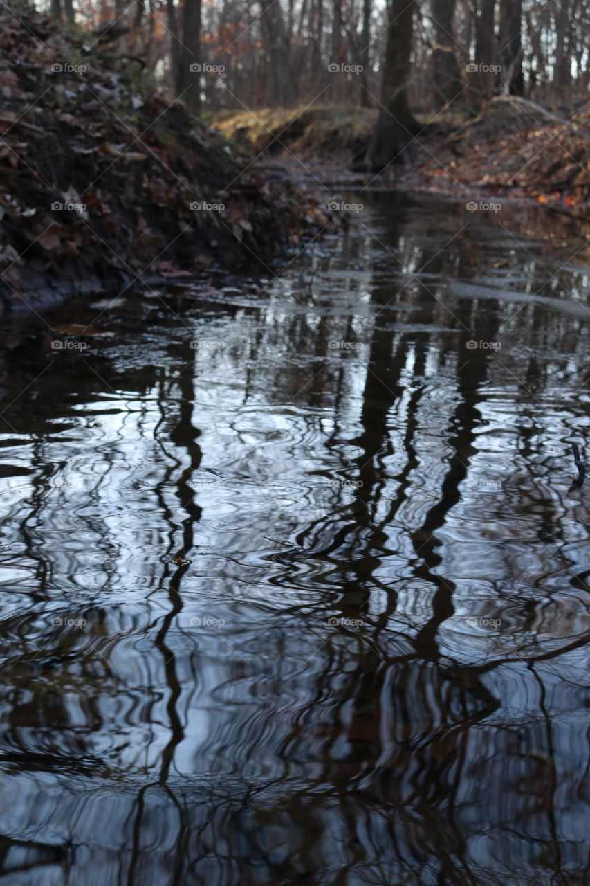Flowing river in the woods.