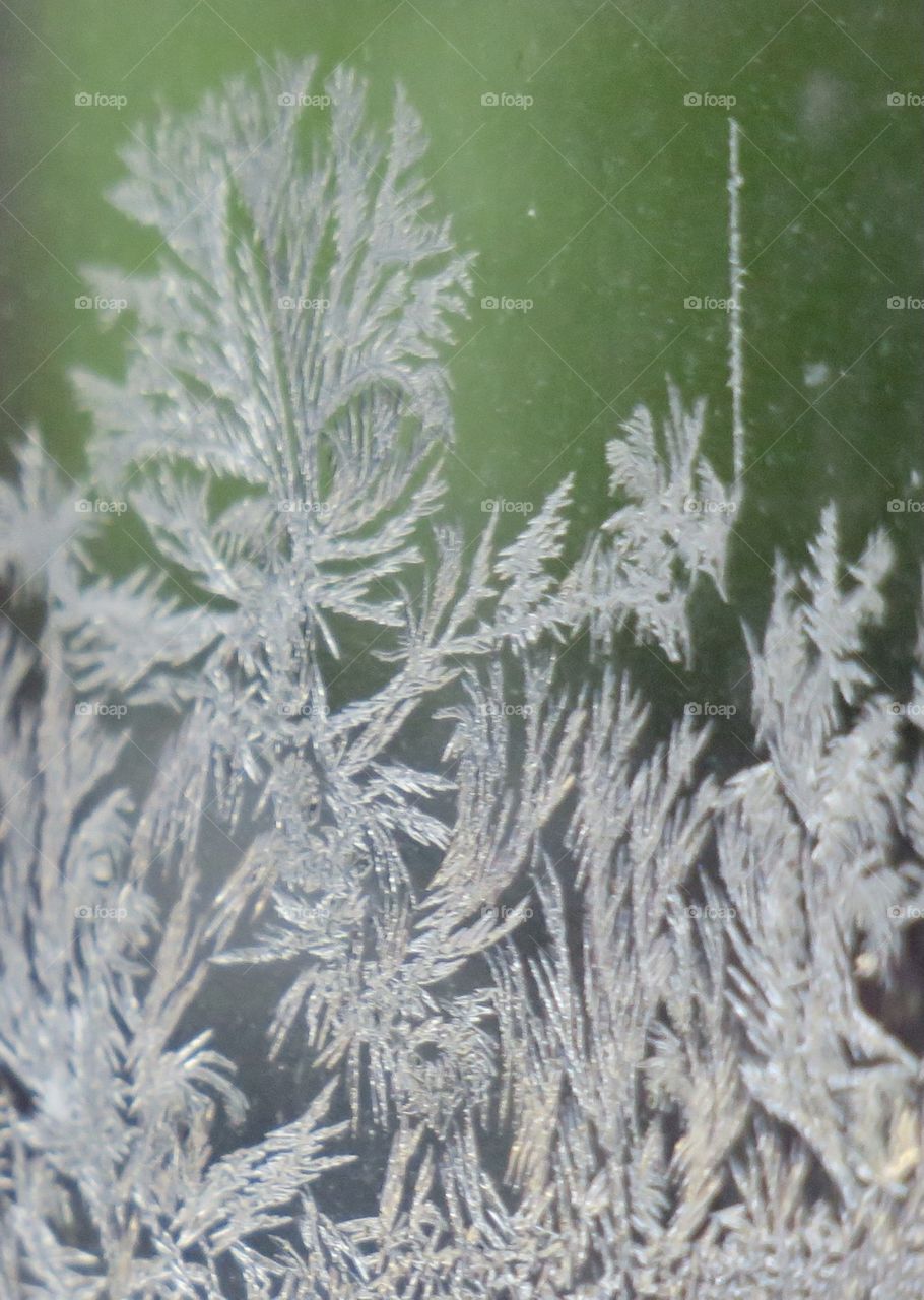 Frozen window 