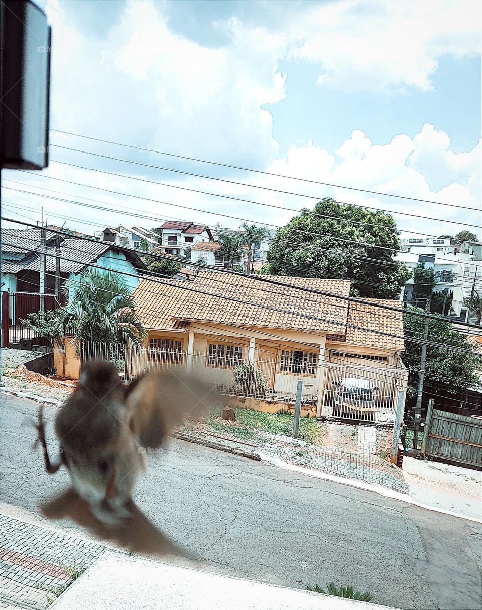 Batendo na janela