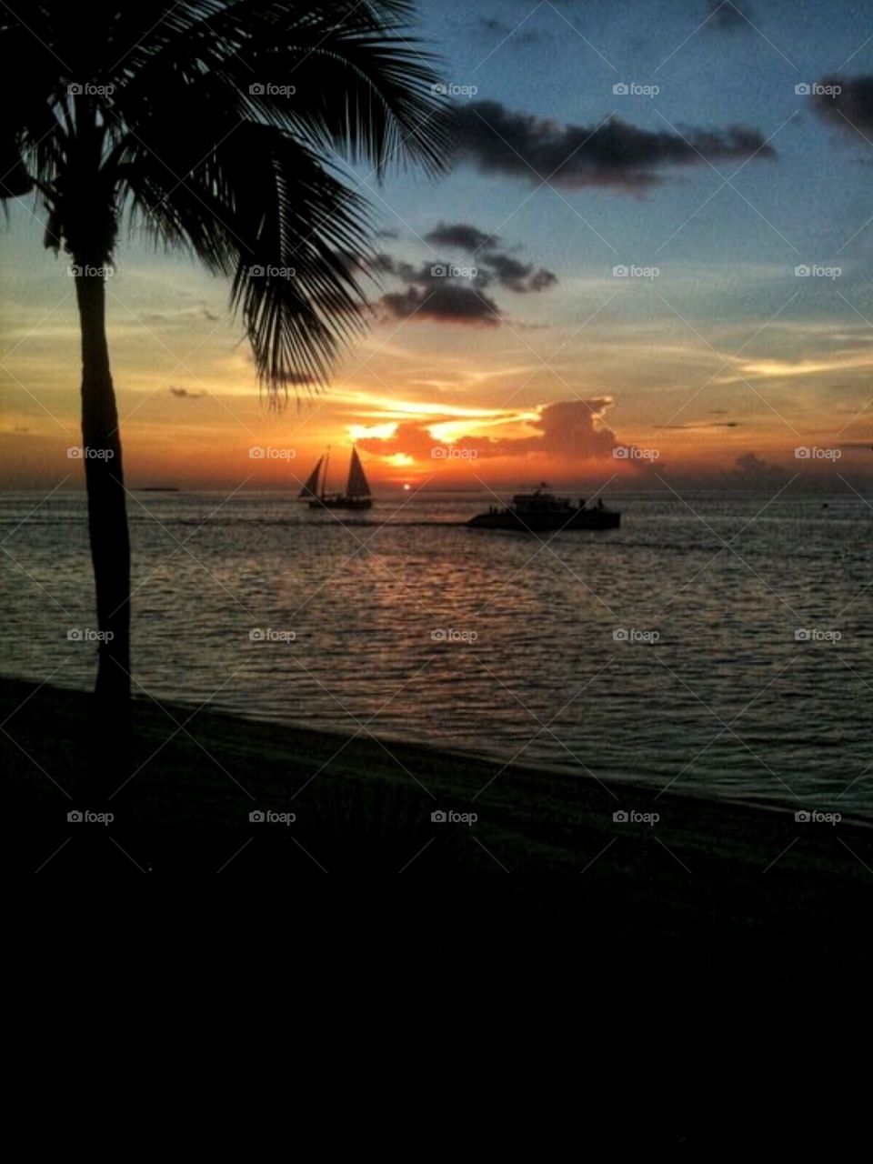 Sailboat silhouette 