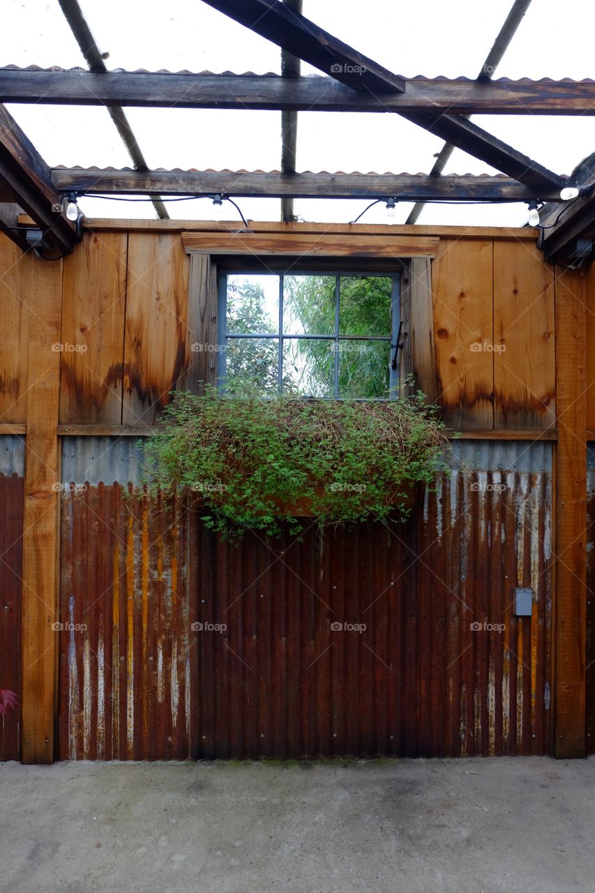 Vintage rustic interior decore, window with a planter, rusting corrogated  metal sheet on wall sidings, wood panels
