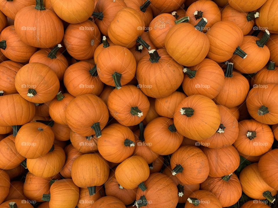 Pumpkins