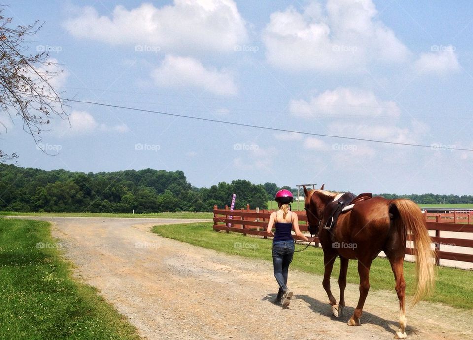 Back to the barn