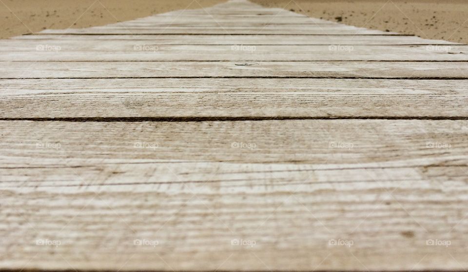 Close-up of wood