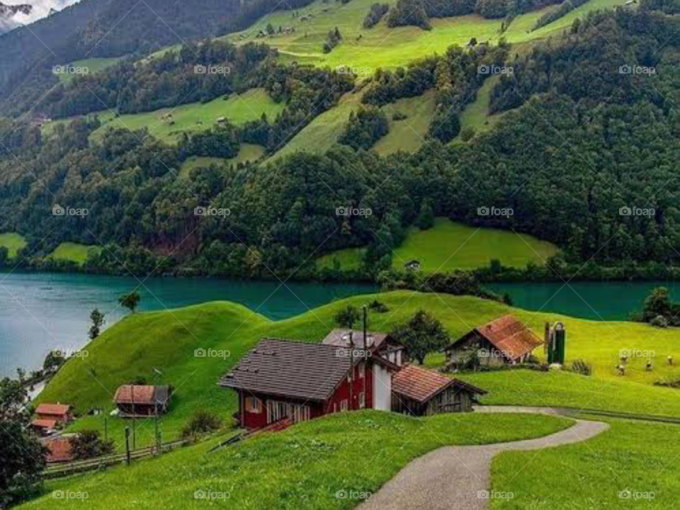 The Beautiful Nature Vibes