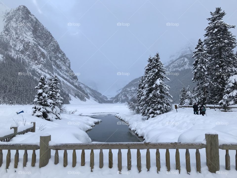 Frozen Lake Louise tributary stream