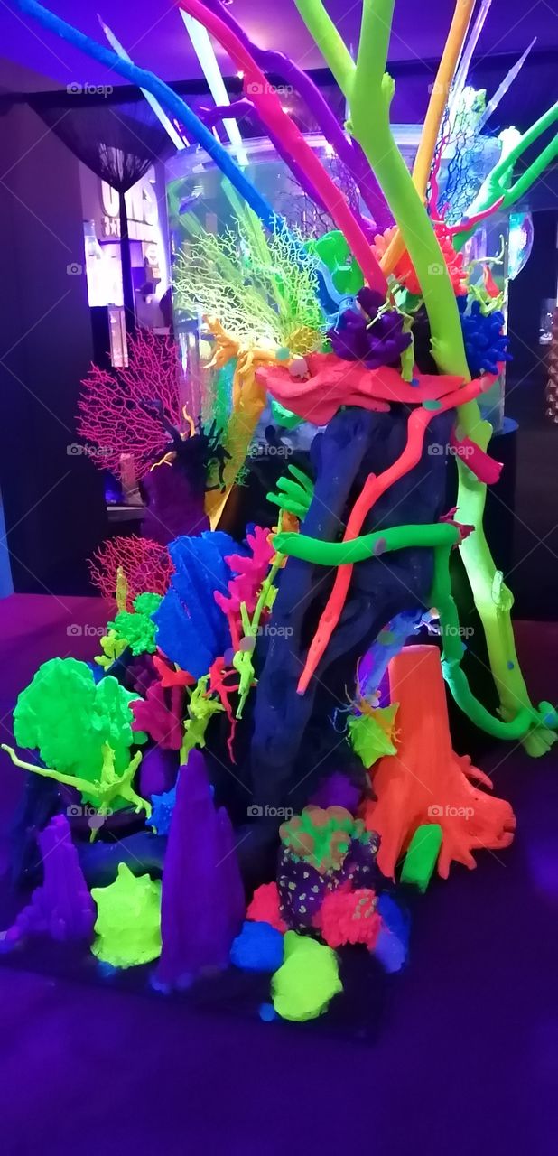 sea colors and wonders