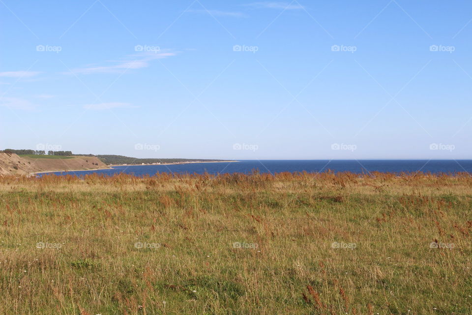 Kåseberga landscape, Skåne.