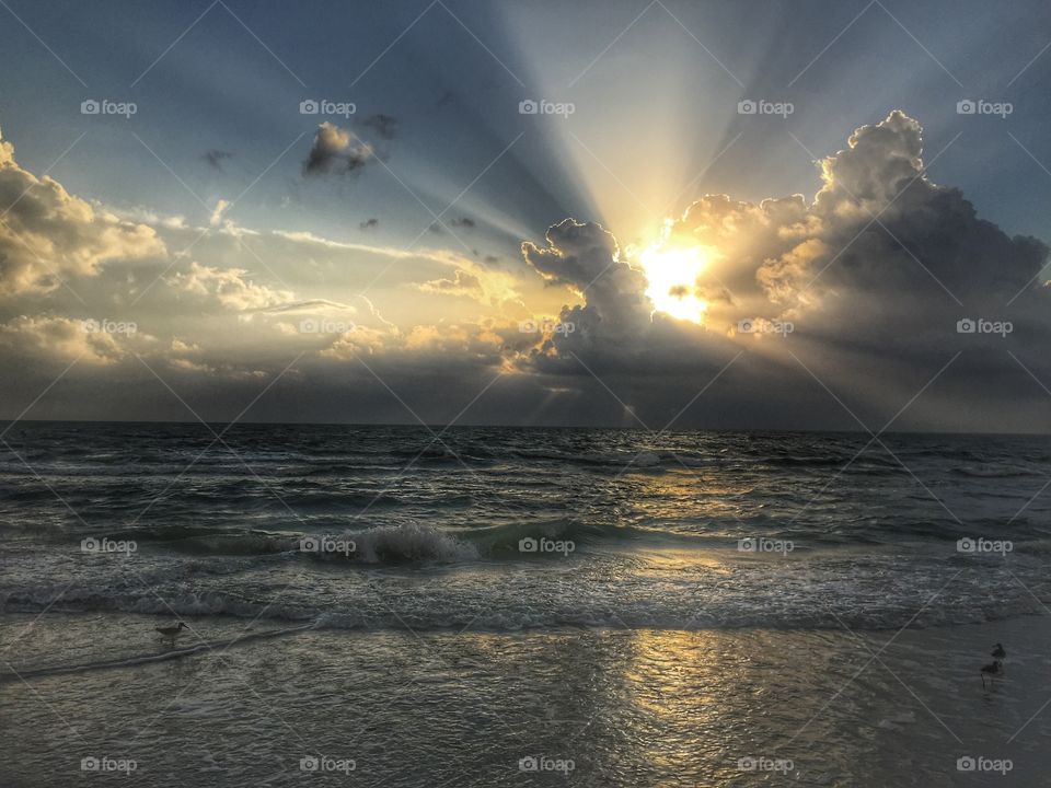 Sun rays on the beach