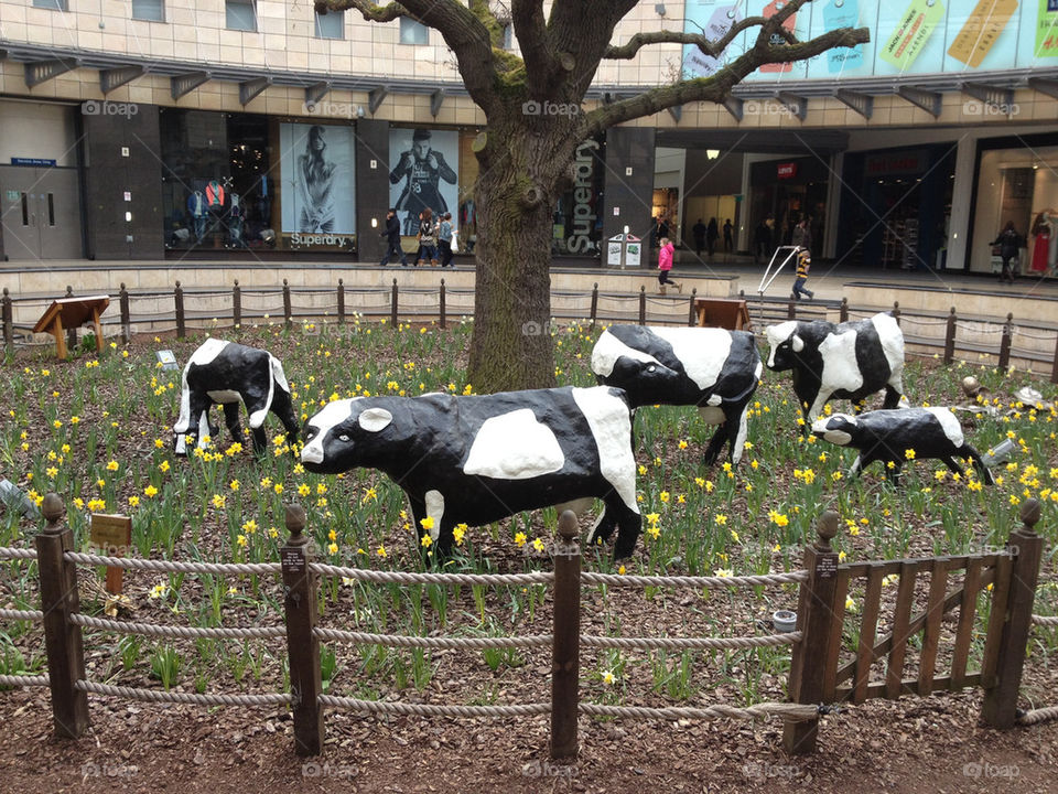 Famous metal Milton Keynes cattle