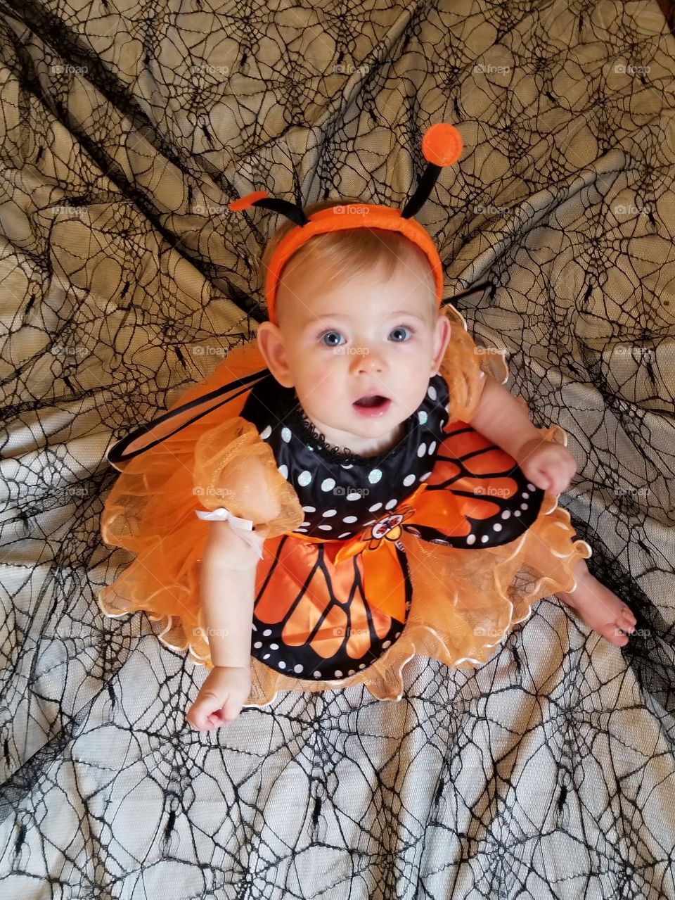 9 month old girl dressed as a monarch butterfly for hallowen