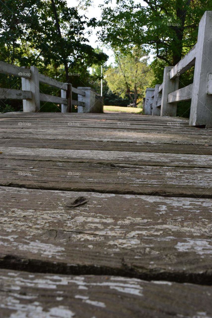 No Person, Wood, Outdoors, Tree, Water