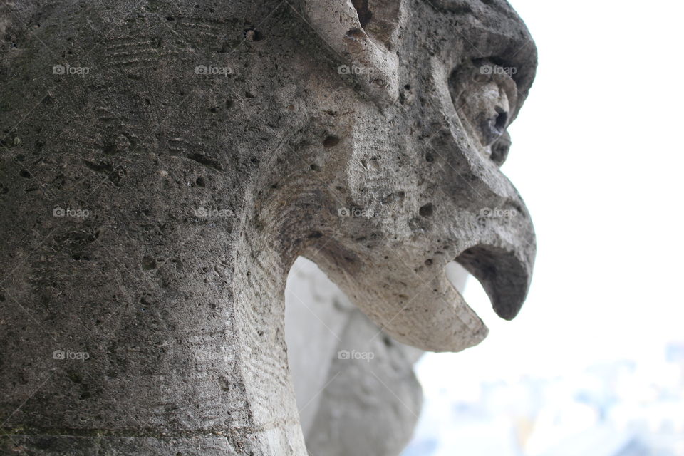 Paris gargoyle 