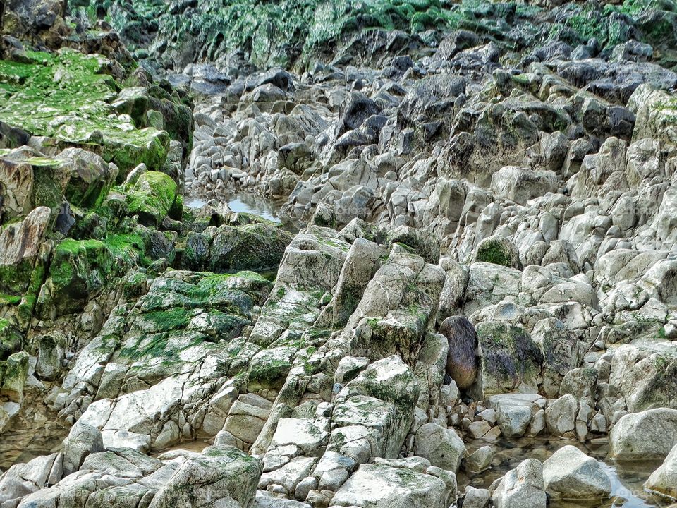 Rocky Coastline
