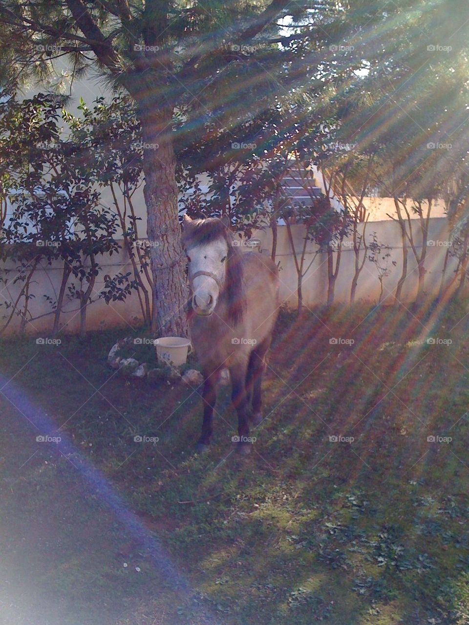 anabissos aristos anavyssos by vrahidis