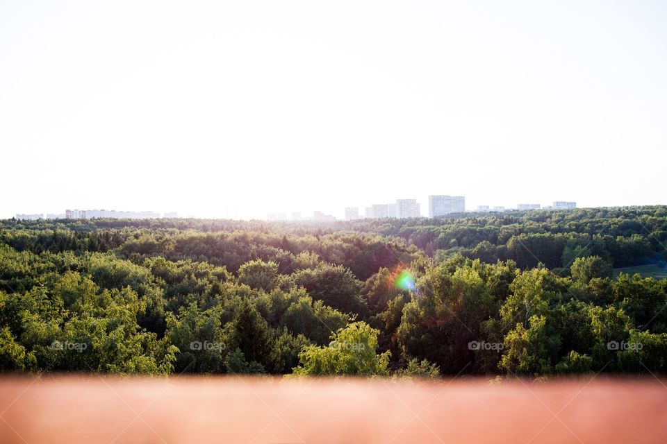 Landscape, Nature, Tree, Sky, Travel