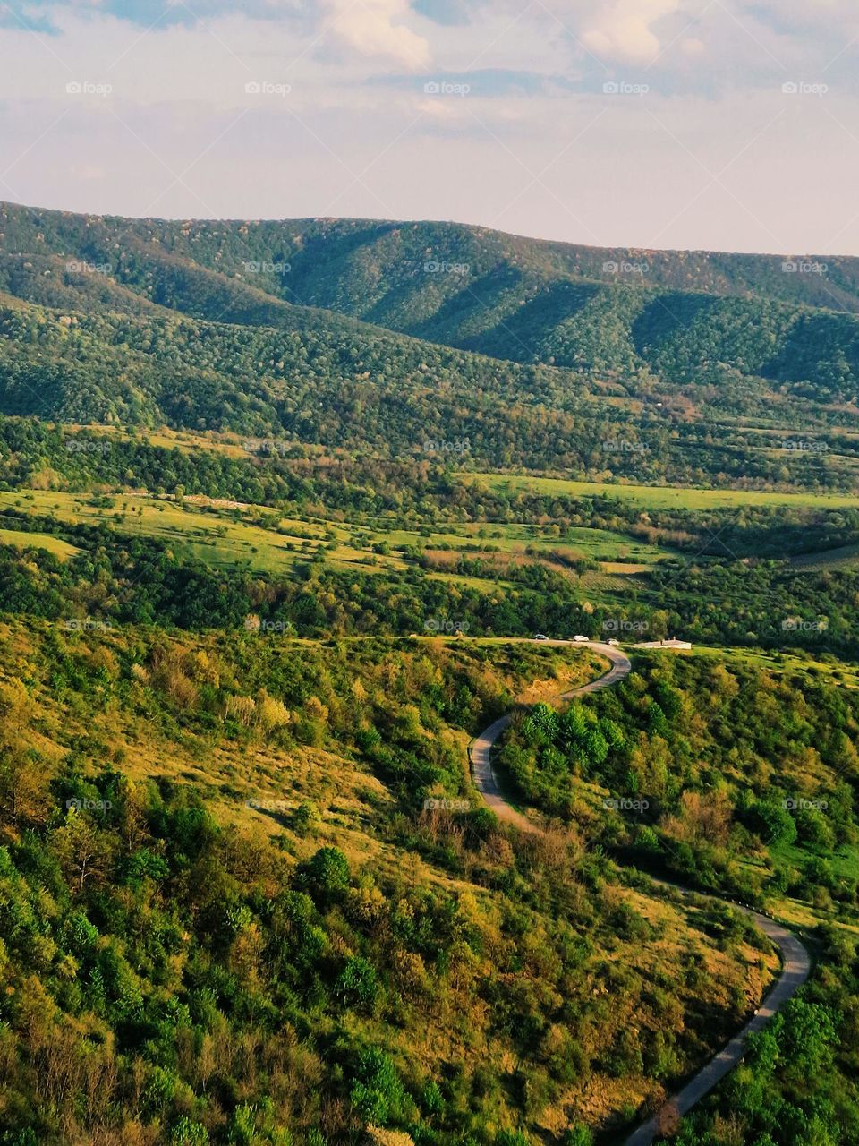 the winding road in the meadow