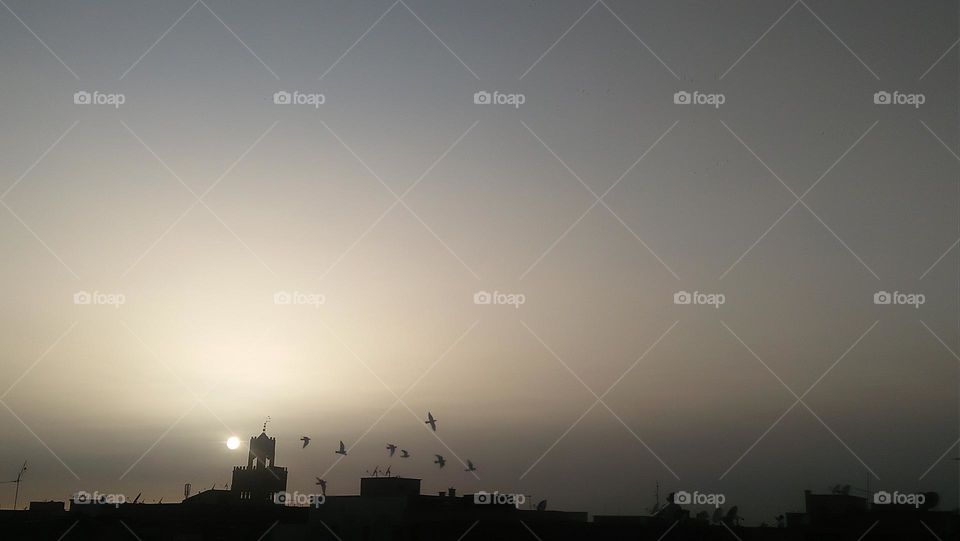 Behind the minaret  are flocks of pigeons flying in the sky depositing the sunset.