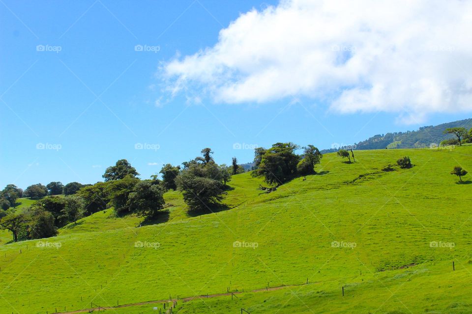 Summer tropical landscape.  Beautiful green hills with lush tropical vegetation.  Costa Rica