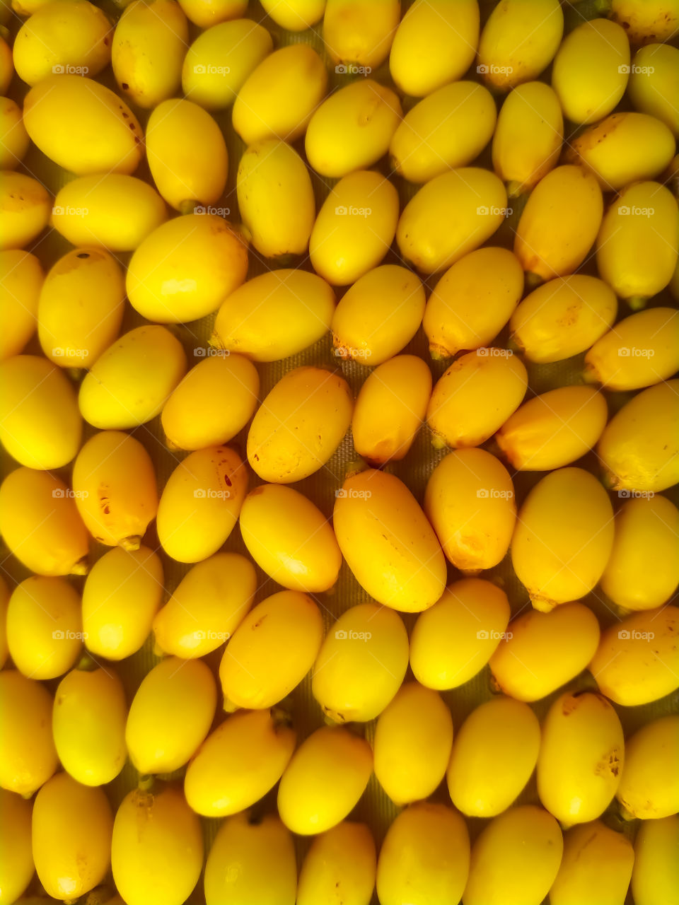 Yellow beautiful neem fruits close up full frame