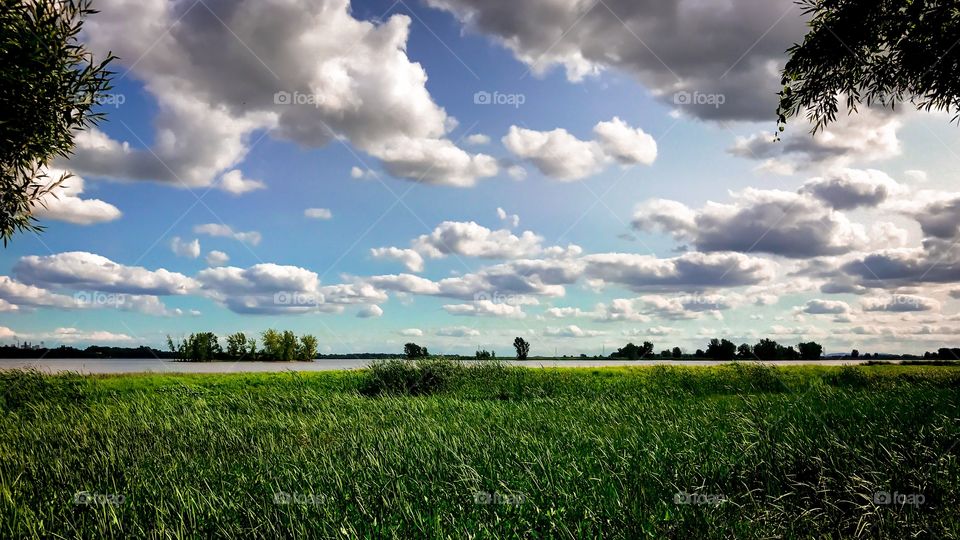 Grass ans clouds 