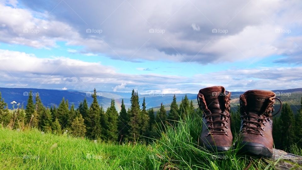 Hiking Boots