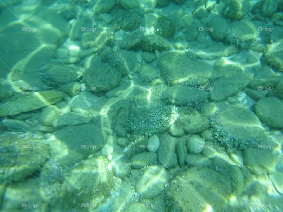 Underwater photo. Underwater photo