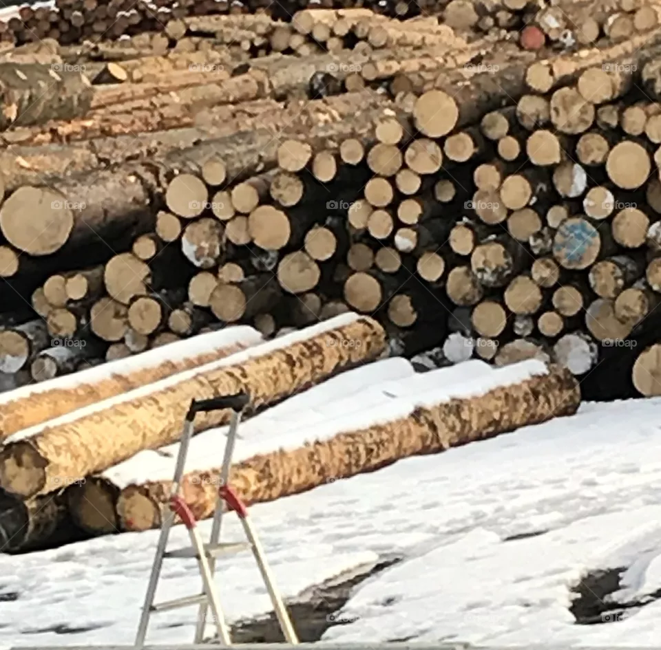 Wood