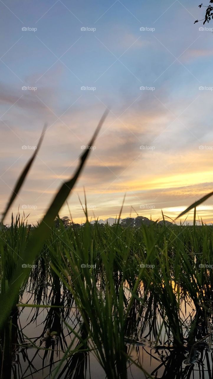 sepektrum cahaya matahari