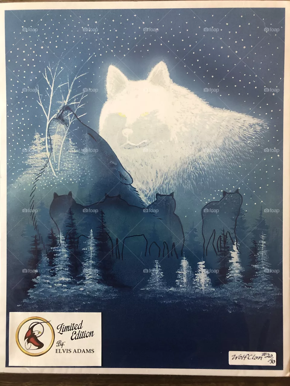 Canadian native art 