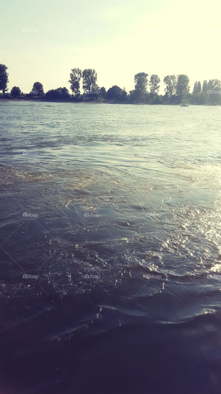 Rhein und der Sommer