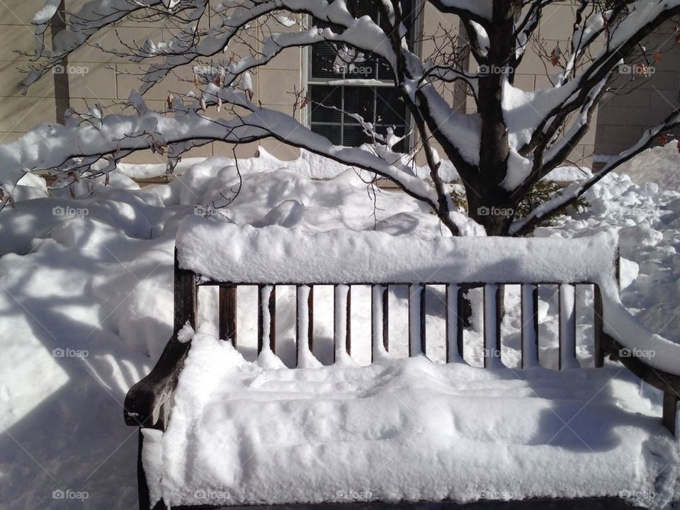 Snow Covered Bench