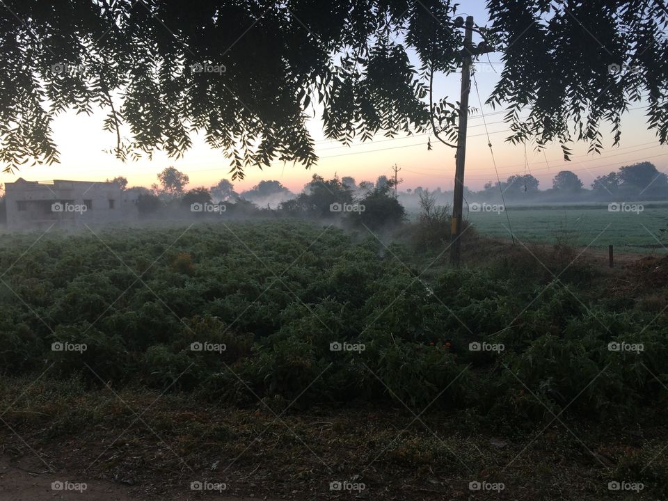 Morning 🌬🌫🌫