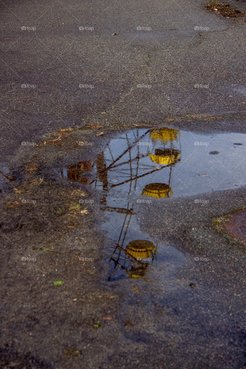 Reflections in a puddle 