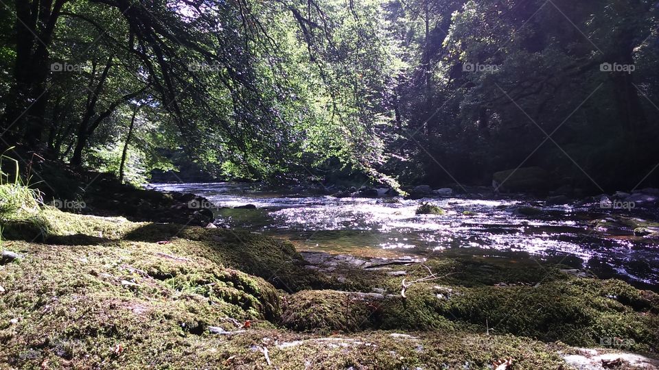 River Barle, Tarr Steps, Exmoor, UK