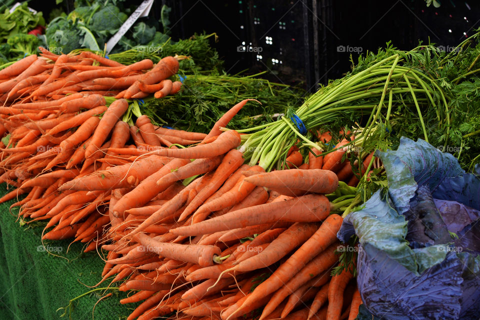 Bunches of fresh carrots 