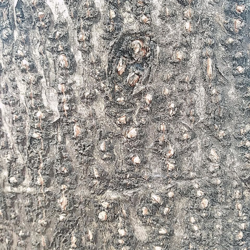 Grey Wallpaper background 4