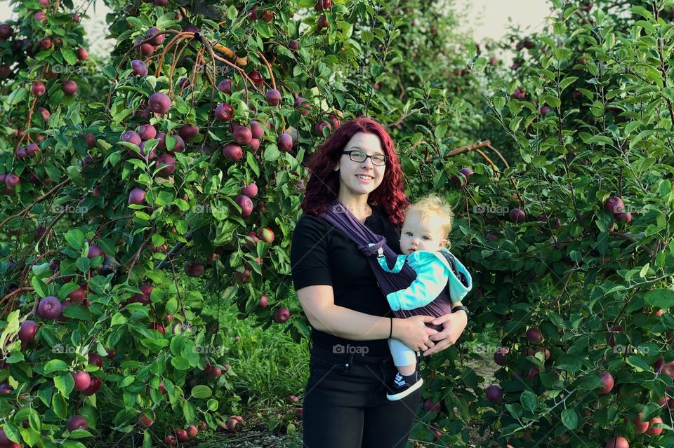 Family portrait apple picking at 1911. 