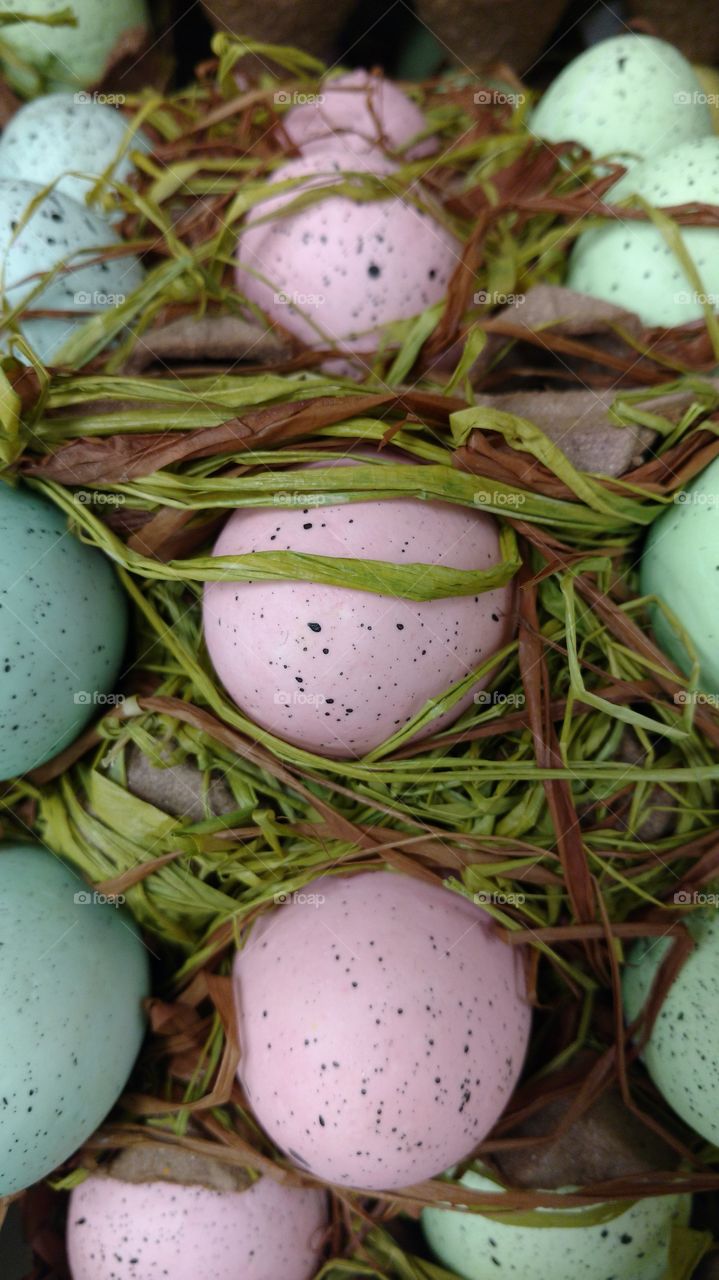 up close Easter eggs and grass