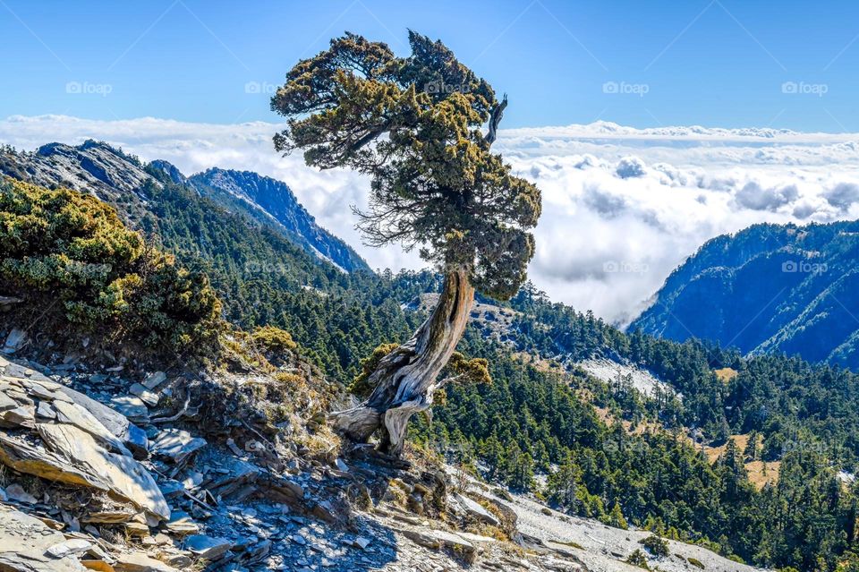 Beautiful mountain natural landscape