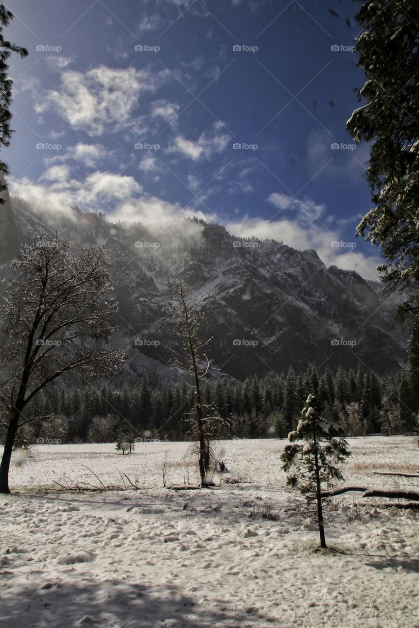 Yosemite morning fog