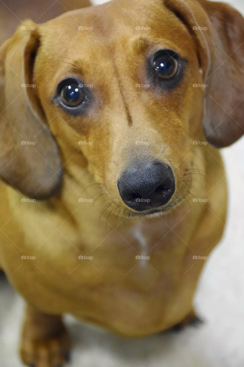 Reggie
