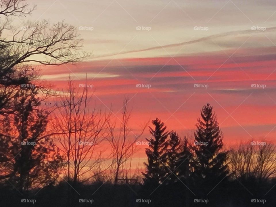 sunset with trees