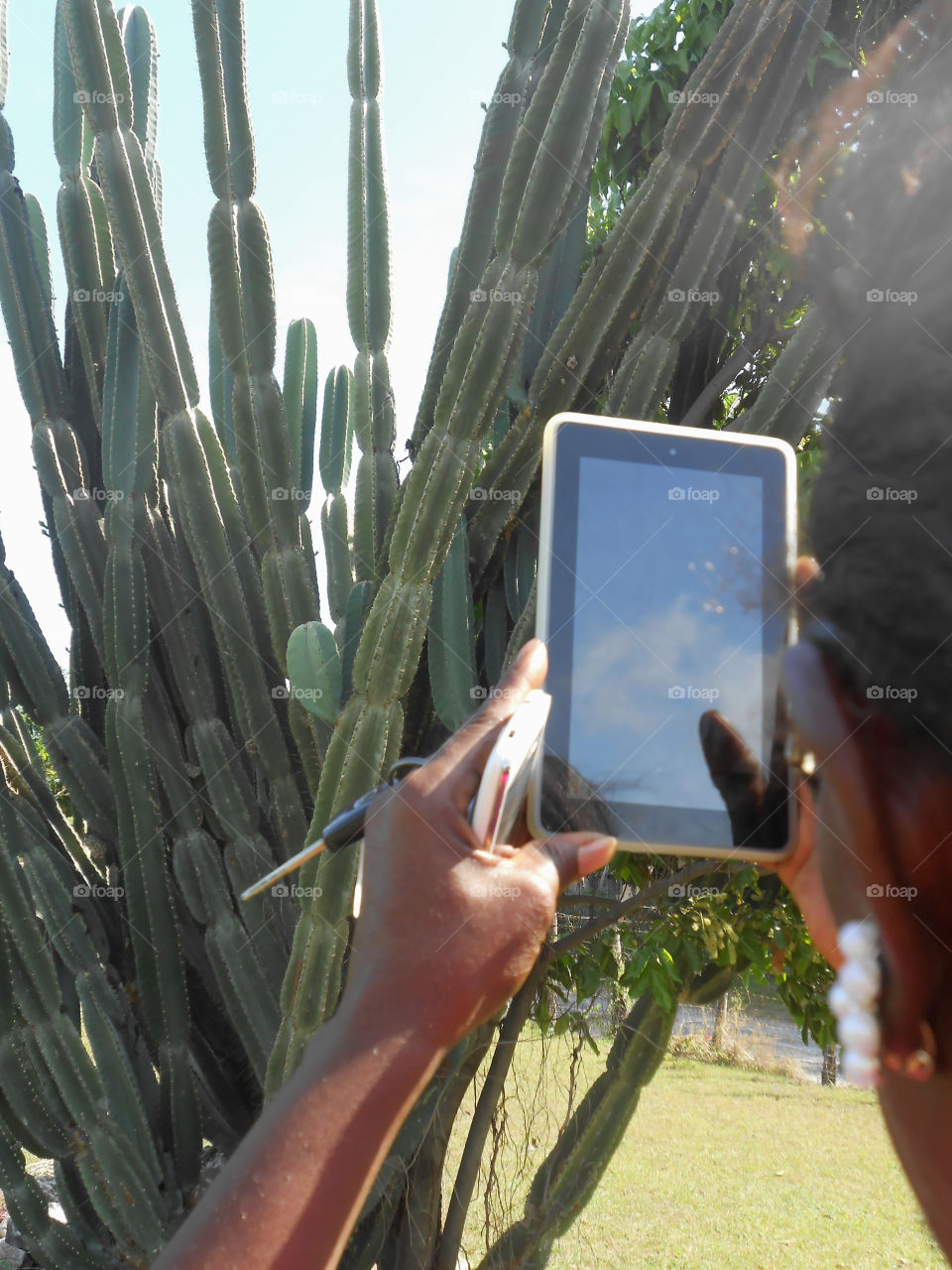 Using a Tablet to Capture Photos