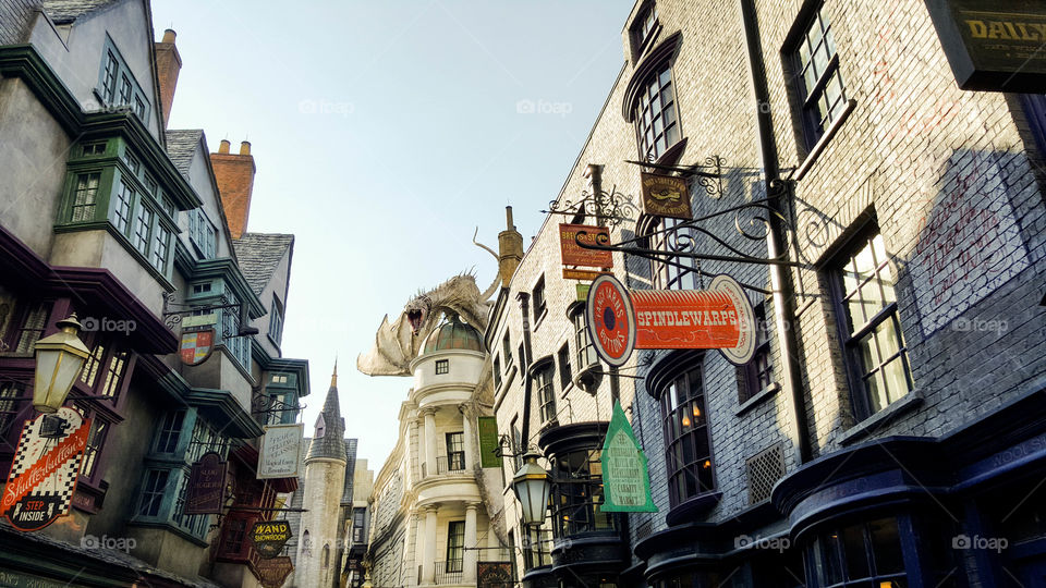It was like walking into a childhood dream.
The Wizarding World of Harry Potter in Universal Studios.