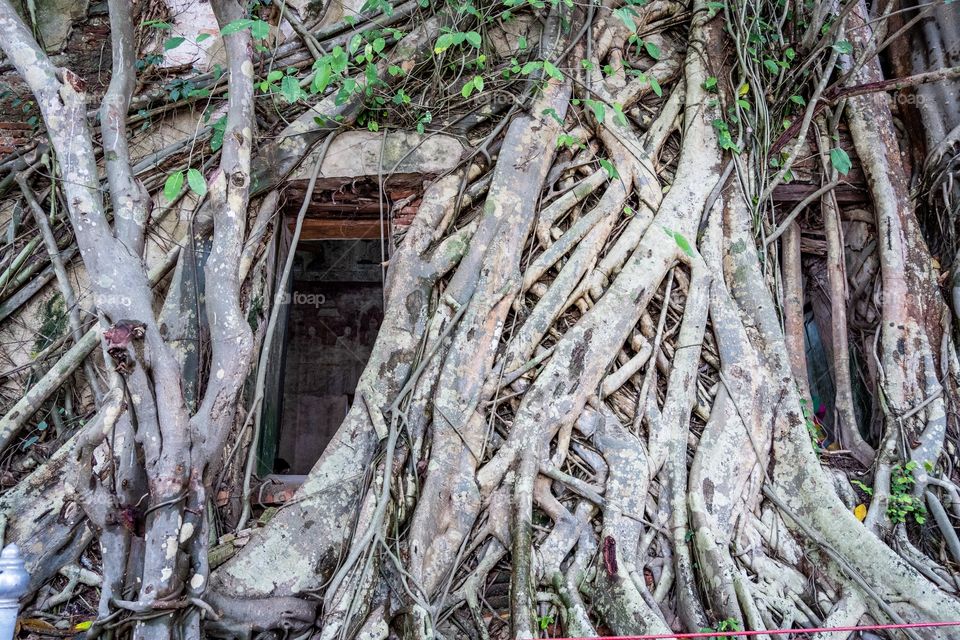 Unseen thailand temple