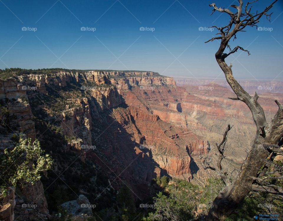 Scenic view of Grand Canyon