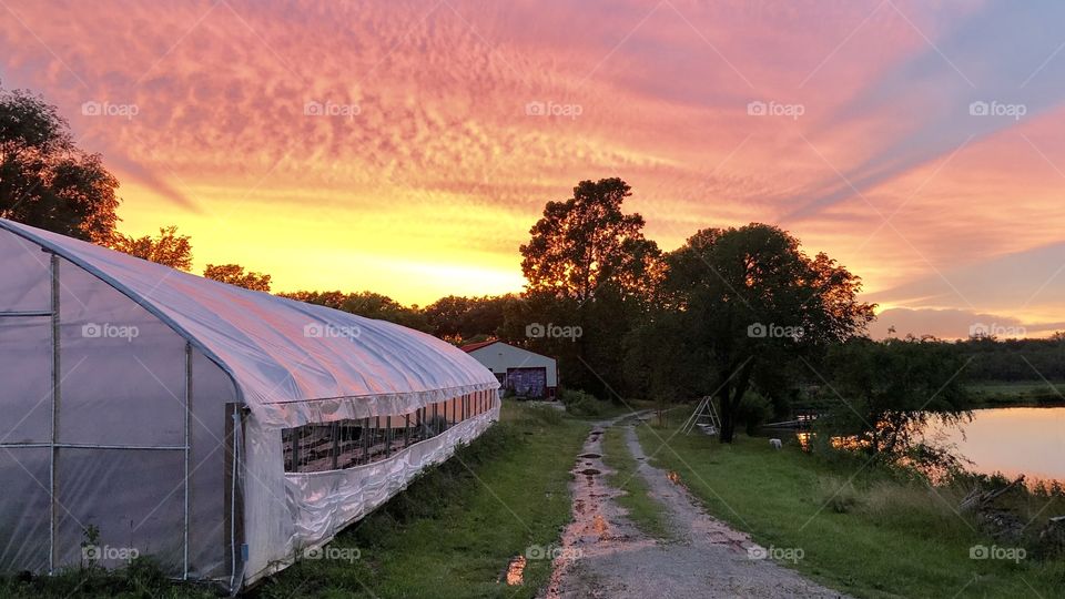 Sunset high tunnel greenhouse farm