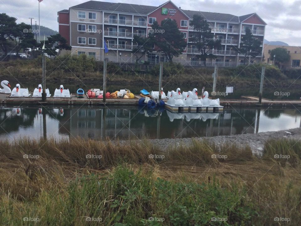 Swan Boats in the Harbour in Seaside, Oregon 